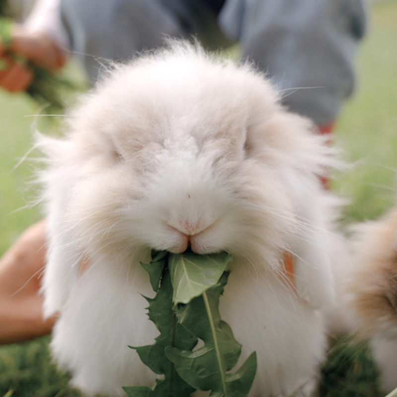 Vorschaubild: Ostern