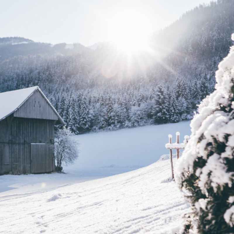 Vorschaubild: Winter