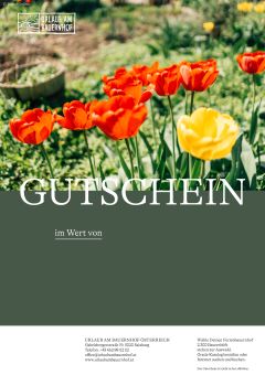 Blumenwiese