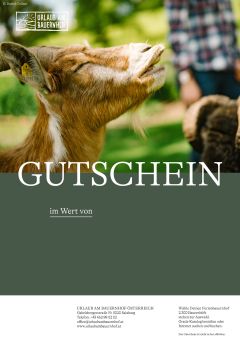 Gutscheinmotiv 3